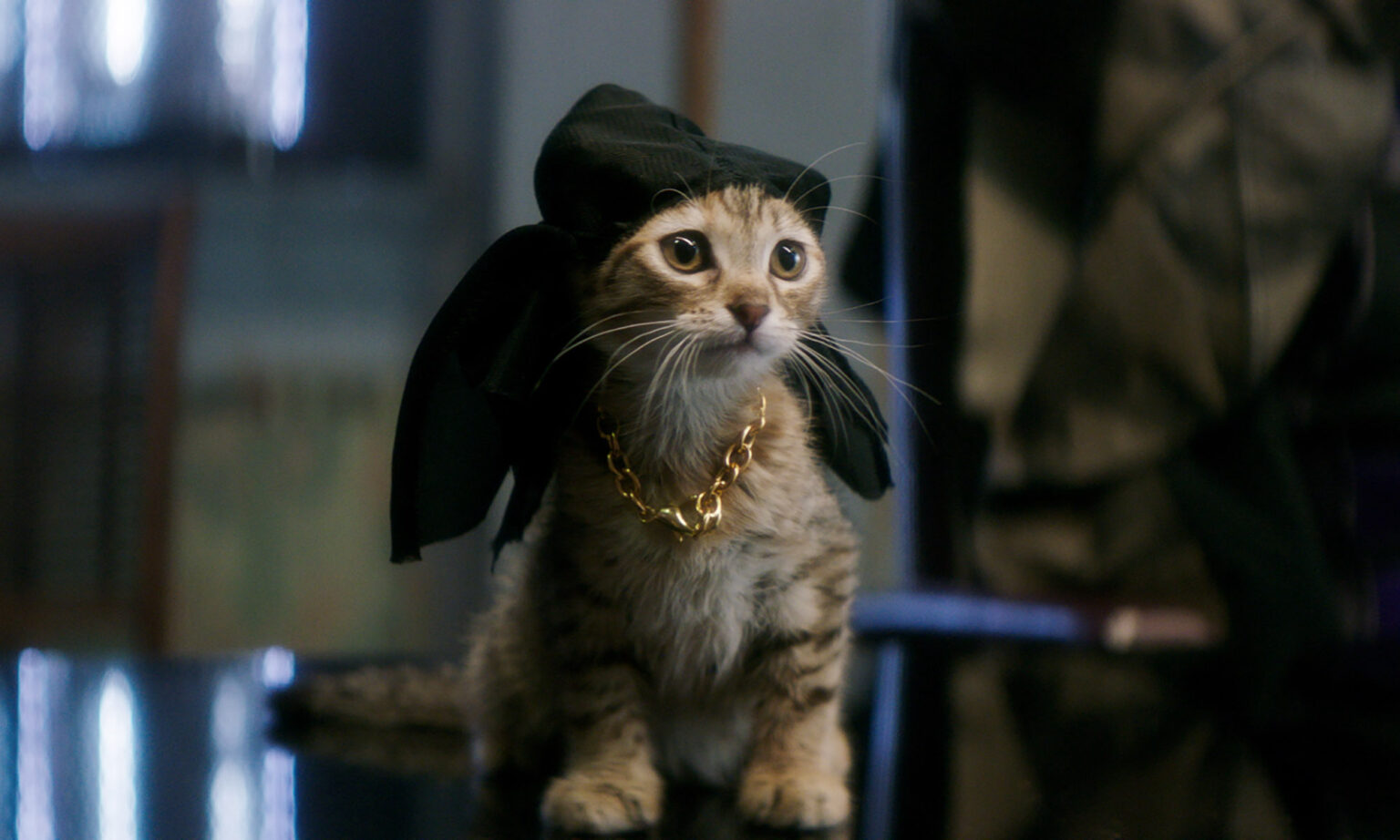 Keanu Reeves Chat CHACUN CHERCHE SON CHAT - Capture Mag