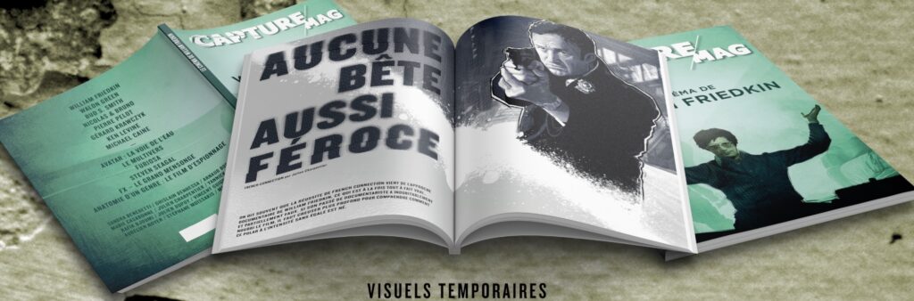 Visuel temporaire futures pages mook